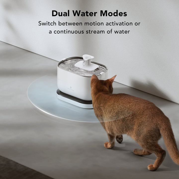 Dockstream Battery-Operated Water Fountain - SMART HOME SHOP