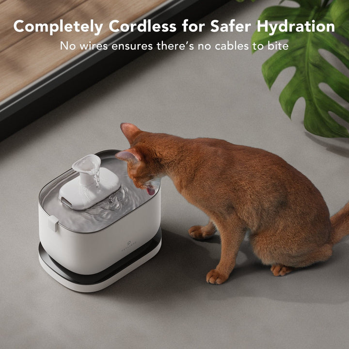 Dockstream Battery-Operated Water Fountain - SMART HOME SHOP