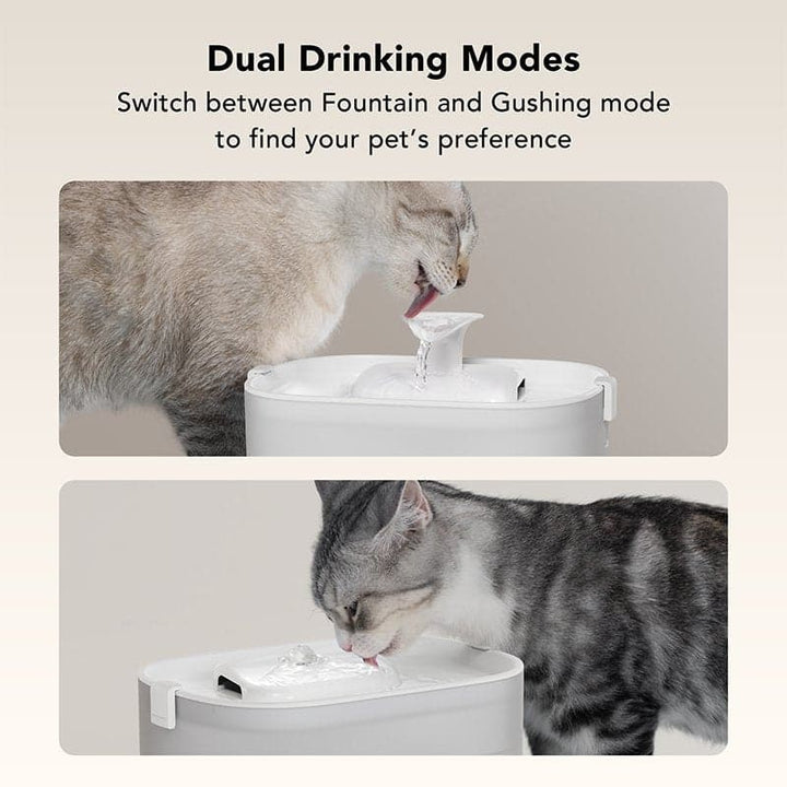 Dockstream Water Fountain - SMART HOME SHOP