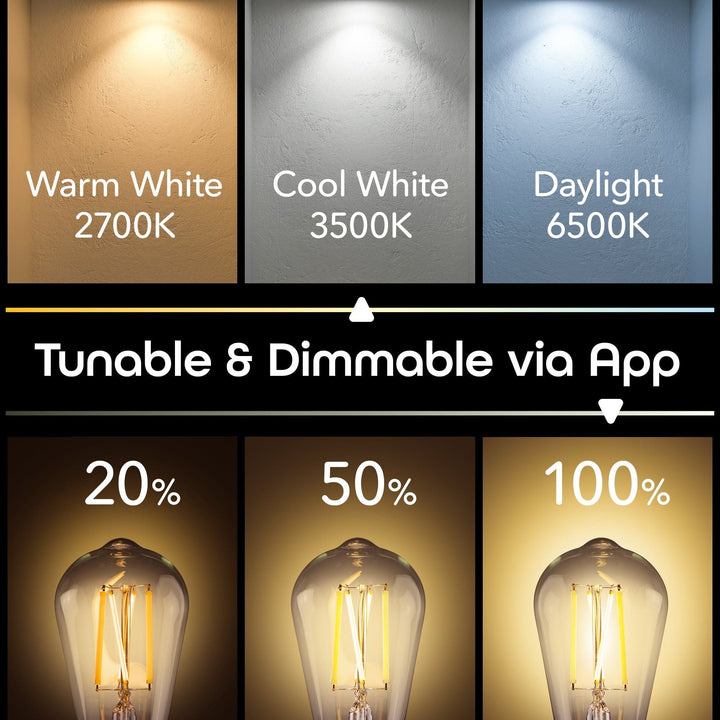 Geeni Lux Edison ST21 Smart Bulb - Tunable White (2-Pack) - SMART HOME SHOP
