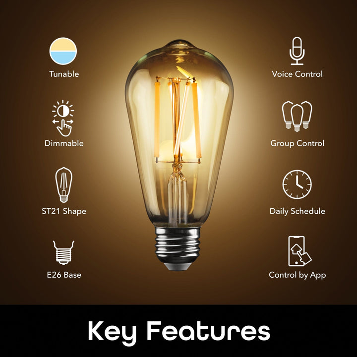 Geeni Lux Edison ST21 Smart Bulb - Tunable White (2-Pack) - SMART HOME SHOP