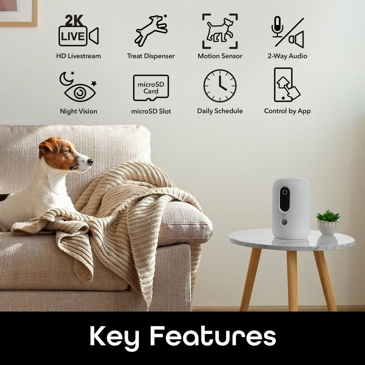 Geeni PetConnect Treat + Cam, Treat Dispenser - SMART HOME SHOP
