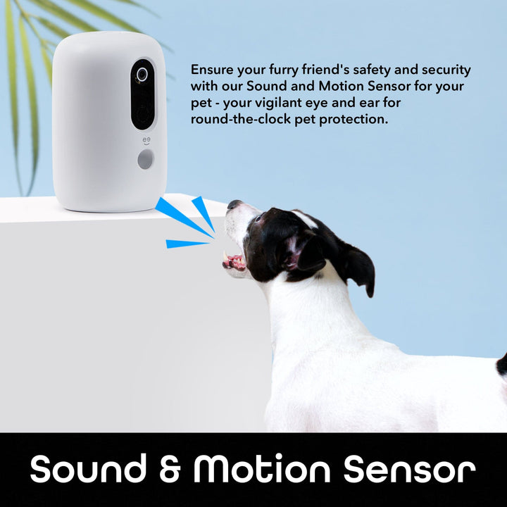 Geeni PetConnect Treat + Cam, Treat Dispenser - SMART HOME SHOP