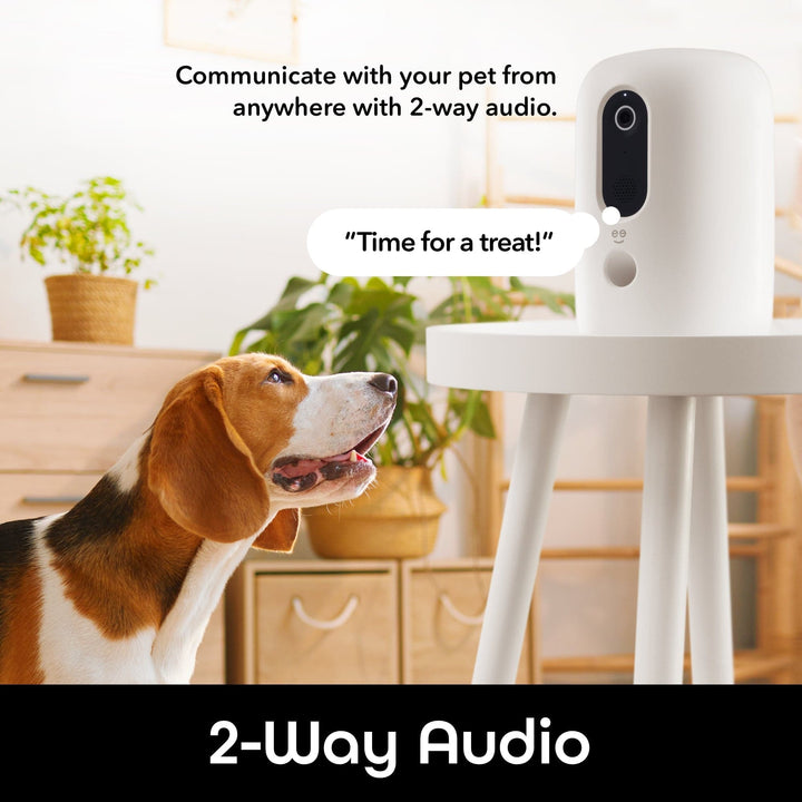 Geeni PetConnect Treat + Cam, Treat Dispenser - SMART HOME SHOP