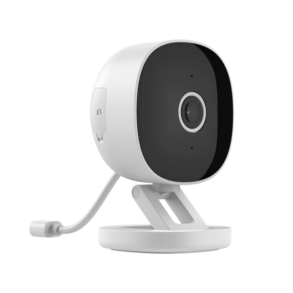 Golden Vision Fixed Camera with Motion Detection and Color Adjustment OEM ODM Factory Quick Installation Mini Network Cameras - SMART HOME SHOP