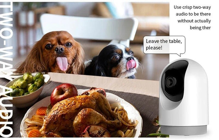 Golden Vision smart Pan tilt Camera 3mp smart wifi camera human detection TUYA app smart home ip camera - SMART HOME SHOP