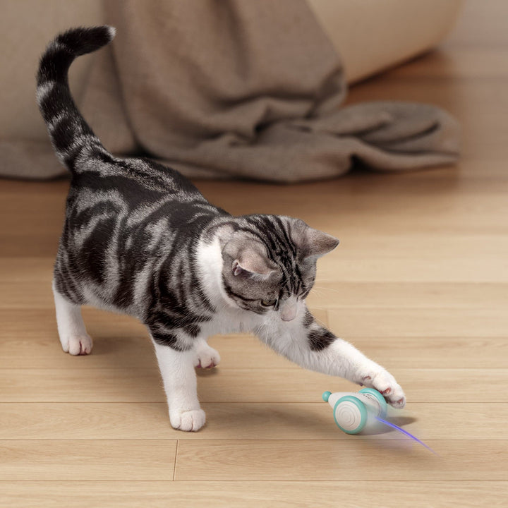 Pixie Mouse Interactive Toy - SMART HOME SHOP