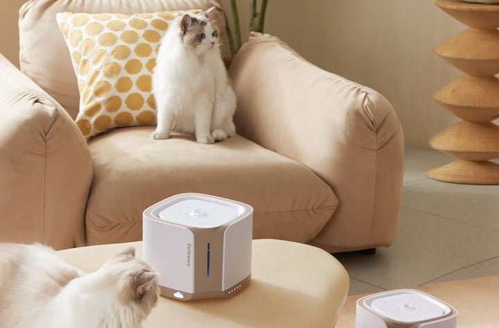SNOW+ Pet Water Fountain - SMART HOME SHOP